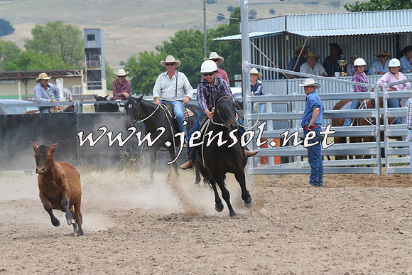 BraidwoodCampdraft2014_1279