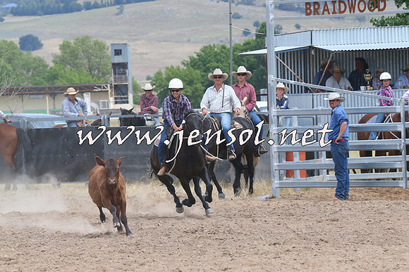 BraidwoodCampdraft2014_1276