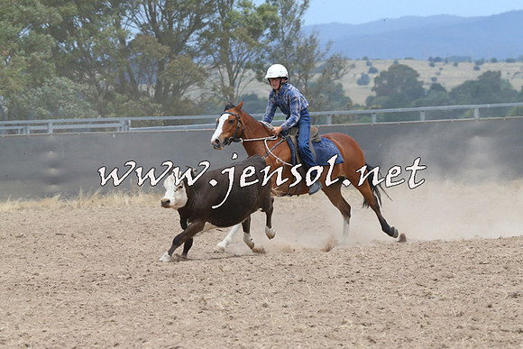 BraidwoodCampdraft2014_1235