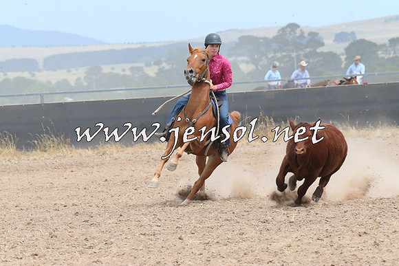 BraidwoodCampdraft2014_1316
