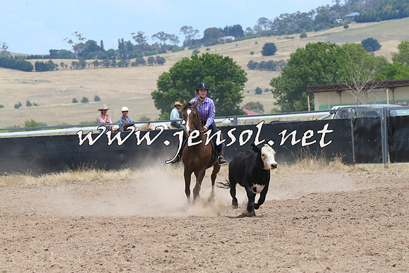 BraidwoodCampdraft2014_1190