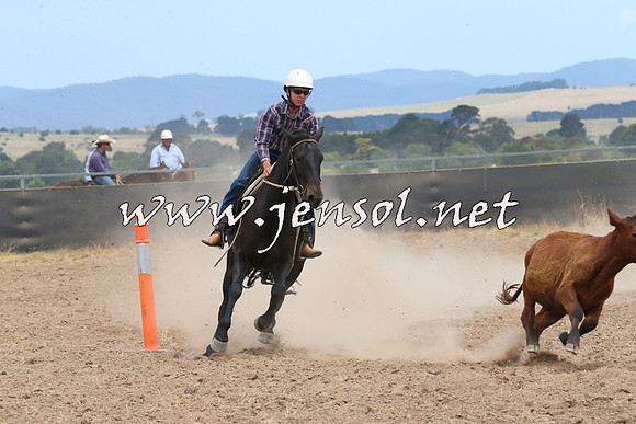 BraidwoodCampdraft2014_1273