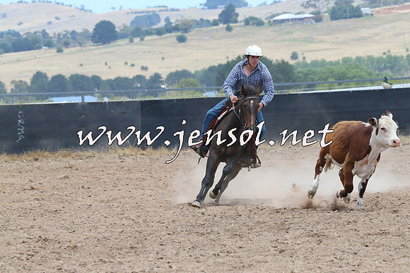 BraidwoodCampdraft2014_1169