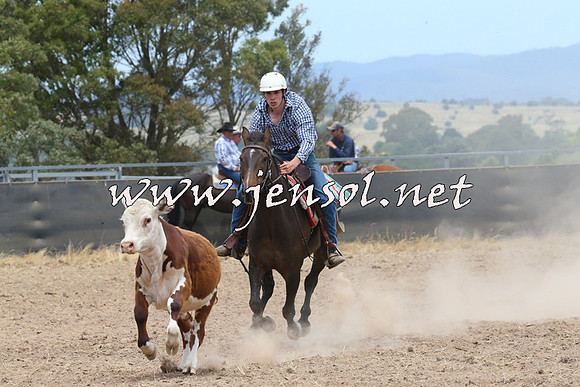 BraidwoodCampdraft2014_1176