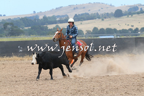 BraidwoodCampdraft2014_1214