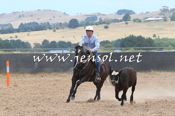 BraidwoodCampdraft2014_1202