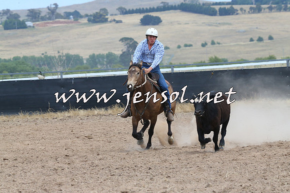 BraidwoodCampdraft2014_1244
