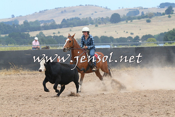BraidwoodCampdraft2014_1215