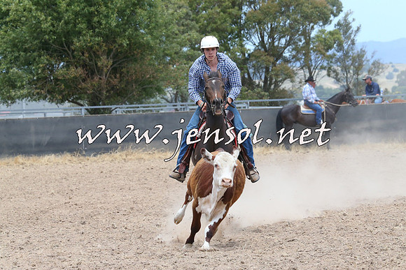 BraidwoodCampdraft2014_1188