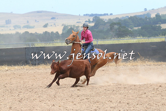 BraidwoodCampdraft2014_1314