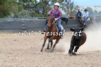 BraidwoodCampdraft2014_1159