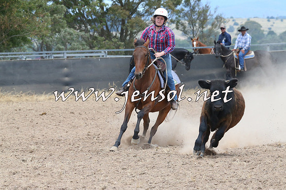 BraidwoodCampdraft2014_1159
