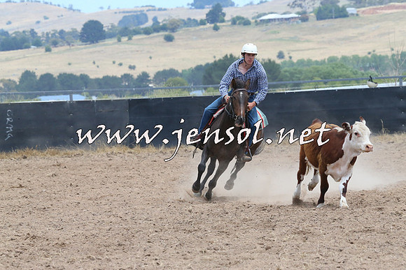 BraidwoodCampdraft2014_1170