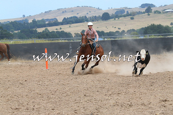 BraidwoodCampdraft2014_1249