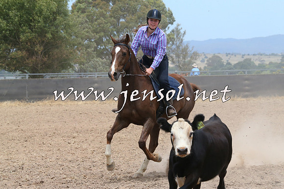 BraidwoodCampdraft2014_1194