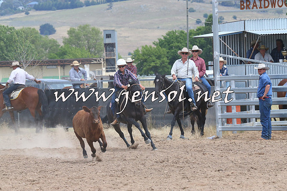 BraidwoodCampdraft2014_1281