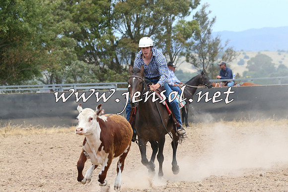 BraidwoodCampdraft2014_1185