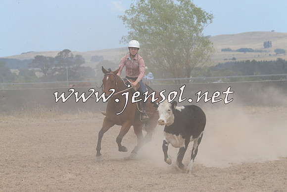 BraidwoodCampdraft2014_1253