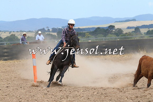 BraidwoodCampdraft2014_1272