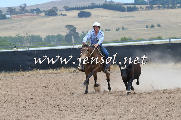 BraidwoodCampdraft2014_1245