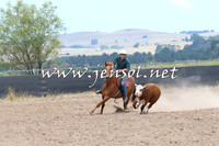 BraidwoodCampdraft2014_1166