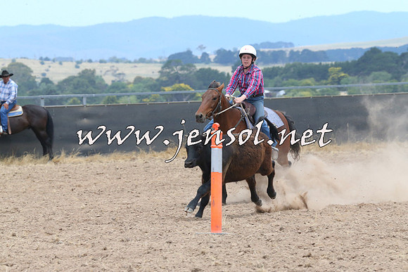 BraidwoodCampdraft2014_1156