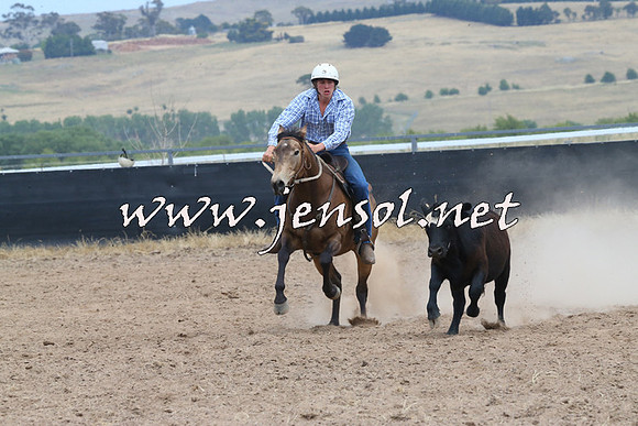 BraidwoodCampdraft2014_1243