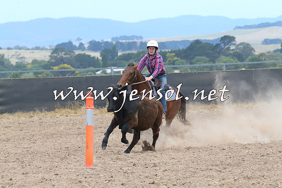 BraidwoodCampdraft2014_1157