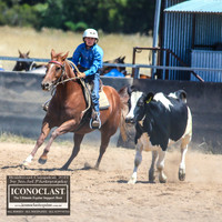 BraidwoodCampdraft2021_7915