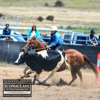 BraidwoodCampdraft2021_7928
