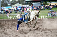 MoruyaRodeo2017_0820