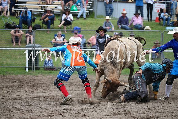 MoruyaRodeo2017_0947
