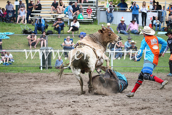 MoruyaRodeo2017_0959