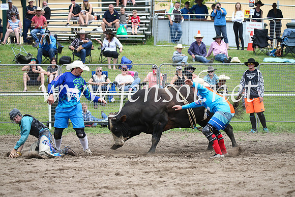 MoruyaRodeo2017_0998
