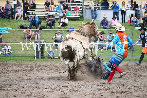 MoruyaRodeo2017_0960