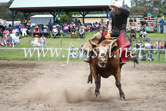 MoruyaRodeo2017_1076