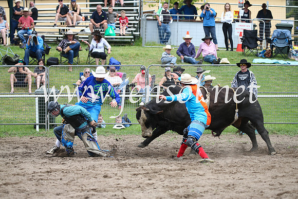 MoruyaRodeo2017_0985