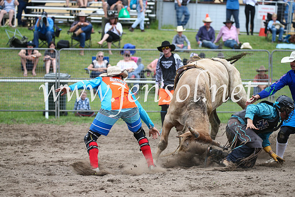 MoruyaRodeo2017_0949