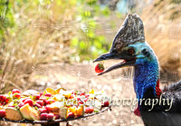FeatherdaleZooAug17-0027