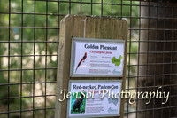 FeatherdaleZooAug17-0024