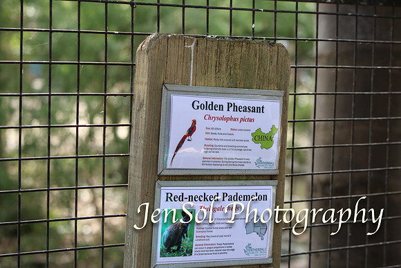 FeatherdaleZooAug17-0024