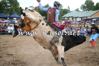 Bull Chute Out