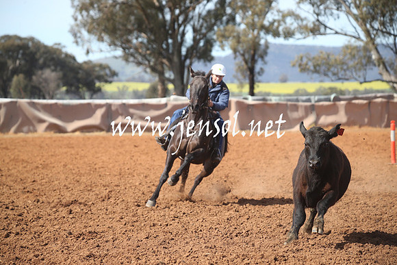 IllaboSat_0888