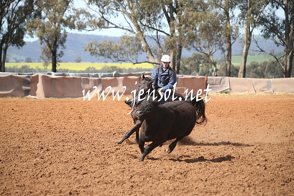 IllaboSat_0883