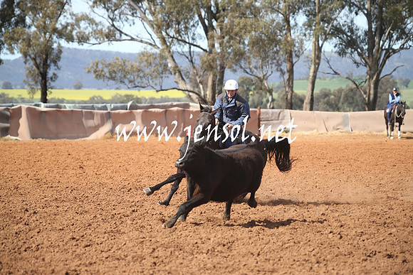 IllaboSat_0882