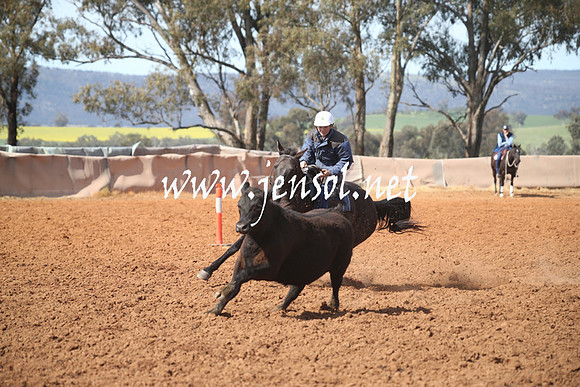IllaboSat_0881