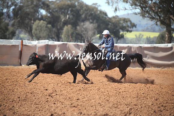 IllaboSat_0893