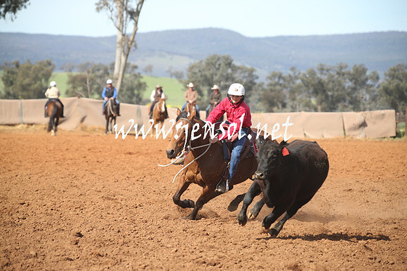 IllaboSat_0901