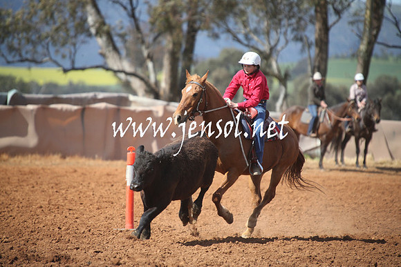 IllaboSat_0791