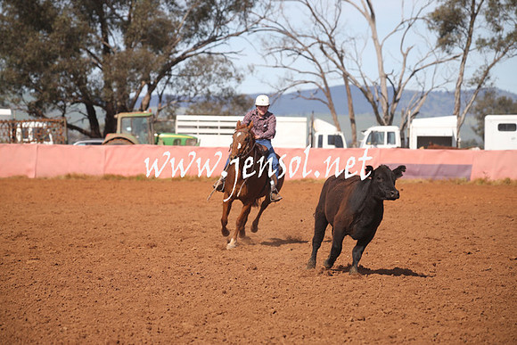 IllaboSat_0913